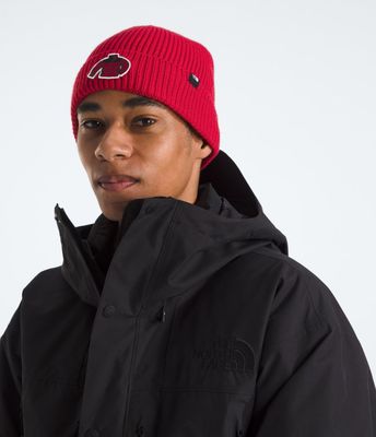 Imagen 2 del producto Gorro Tnf LogoBox Cuffed Beanie.