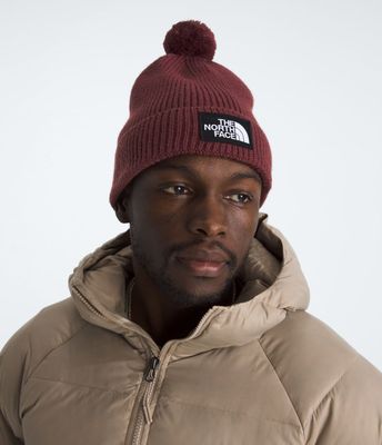 Imagen 2 del producto Gorro Tnf LogoBox Pobeanie