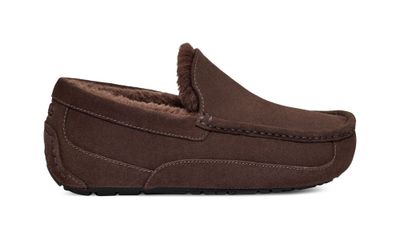 Pantuflas UGG Hombre Ascot UGDDC Café