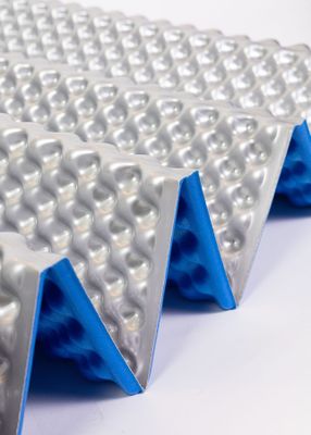 Imagen 2 del producto Colchoneta Andesgear Mujer Ixpe Azul