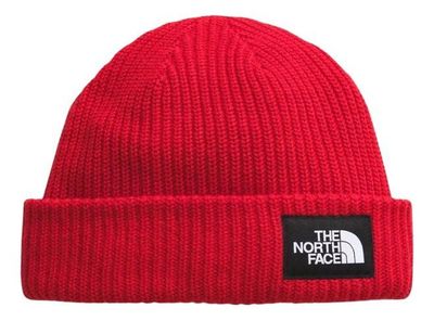 Imagen 1 del producto Gorro The North Face Saltye Dog Rojo