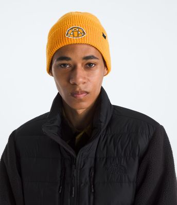 Imagen 2 del producto Gorro Tnf - LogoBox Cuffed Beanie