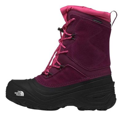 Imagen 1 del producto Botas The North Face Alpenglow V Wp Burdeo