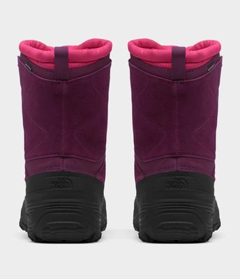 Imagen 2 del producto Botas The North Face Alpenglow V Wp Burdeo