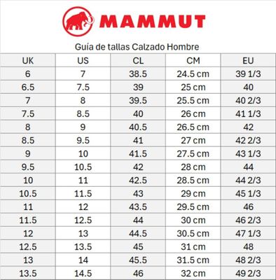 Imagen 2 del producto Bototo Mammut Hombre Mercury Iv Mid Gtx Café