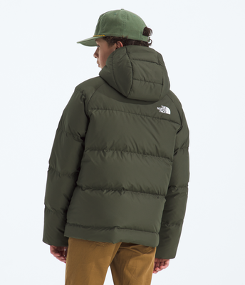 Imagen 2 del producto Chaqueta North Down Hooded Jacket Niño Verde Oscuro