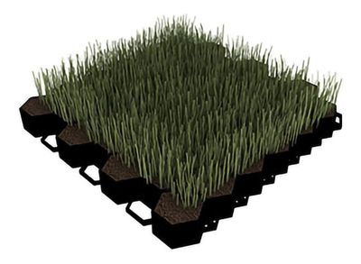 Imagen 2 del producto Palmeta Para Pasto 46x42x3,5cm Negro Dvp