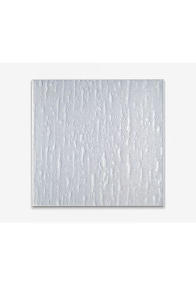 Acrílico Shower 84x172cm Diseño Lluvia Dvp