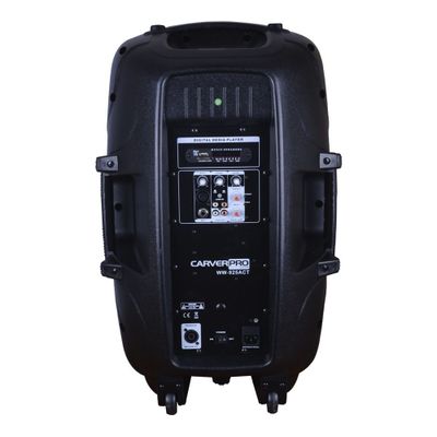 Imagen 2 del producto CAJA ACUSTICA ACTIVA 15 300W BLUETOOTH USB CJW 58 CARVERPRO