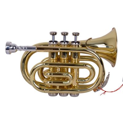 Imagen 2 del producto TROMPETA POCKET TRO 202 DORADA ETINGER