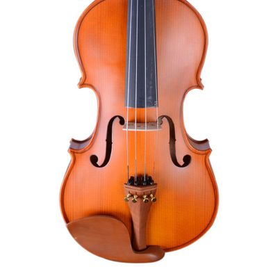 Imagen 2 del producto VIOLIN 4/4 ACABADO MATE CON CASE ETINGER