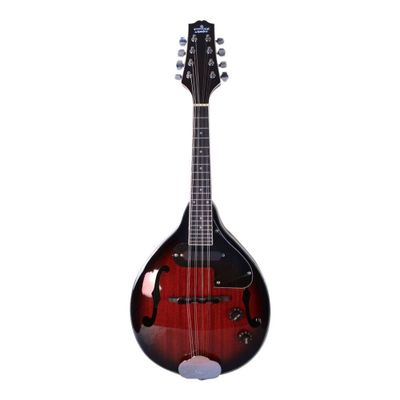 Imagen 2 del producto MANDOLINA ELECTROACUSTICA CHERRY BET-500/CR ETINGER