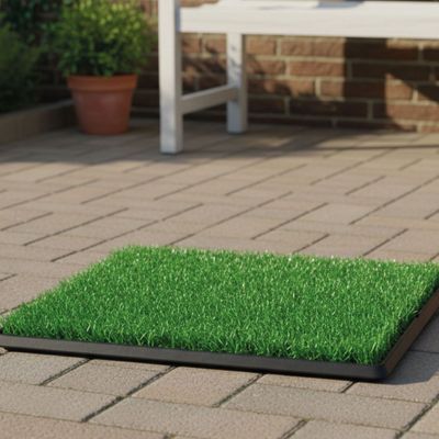 Imagen 2 del producto Baño Ecologico Mascota Grande XXL Perro Lavable