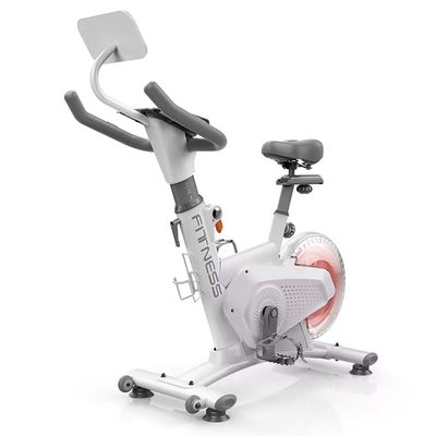 Bicicleta Spinning Magnetica Profesional k11 8 KG