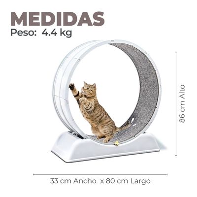 Imagen 2 del producto Rueda Para Gato Segura XXL de Entrenamiento