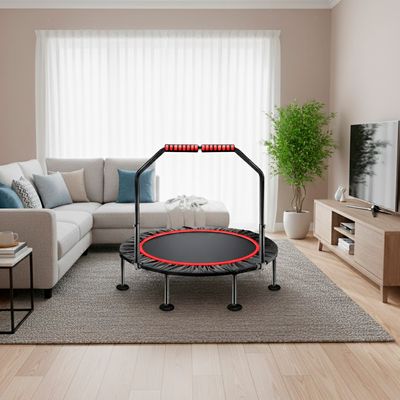 Imagen 2 del producto Trampolin con soporte 100 cm, saltarina con cobertor, Power Jump.