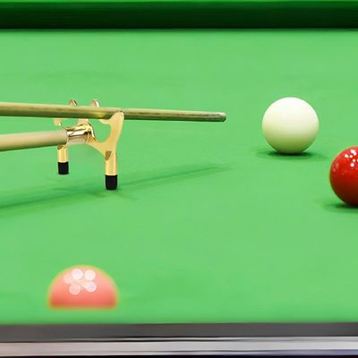 Imagen 2 del producto Diablo de Pool Metálico Completo + Taco 145 cm