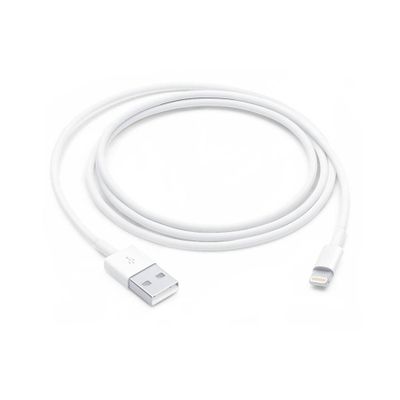 Cable De Datos Apple Lightning A Usb-A 2 Metros Cables