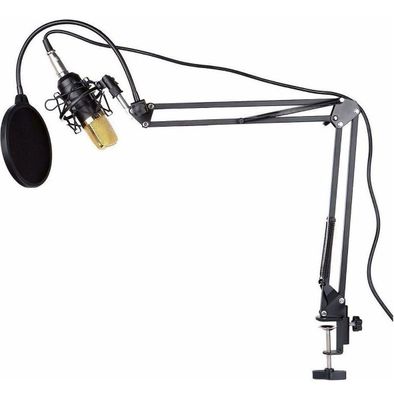 Microfono Kit Condensador Gamer Estudio BM800