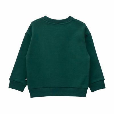 Imagen 2 del producto Polerón Niño Bubblegummers Roble Verde