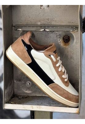 Zapatilla Holand II Café Hombre Globe