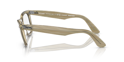 Imagen 2 del producto Ray-Ban Wayfarer Change 