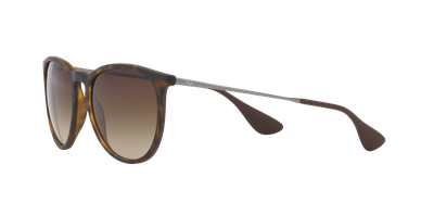Imagen 2 del producto Ray-Ban Erika RB4171L 865/13 54