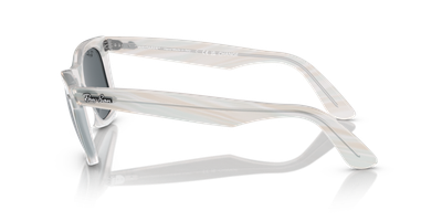 Imagen 2 del producto Ray-Ban Wayfarer Change 