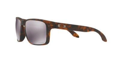 Imagen 2 del producto Oakley Holbrook Prizm