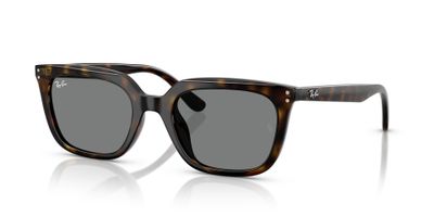 Ray-Ban RB4439D 710/87 54
