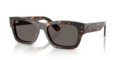 Imagen 1 del producto Ray-Ban Joseph RB7683S 902/B1 55