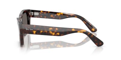 Imagen 2 del producto Ray-Ban Joseph RB7683S 902/B1 55