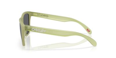 Imagen 2 del producto Oakley Frogskins OO9013