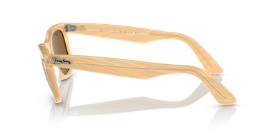 Imagen 2 del producto Ray-Ban Wayfarer Change RB2140 140833 50