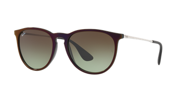 Imagen 1 del producto Ray-Ban Erika RB4171 6316E8 54