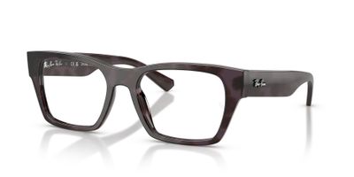 Imagen 2 del producto Ray-Ban RX5448 8461 55