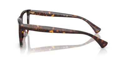 Imagen 2 del producto Ralph  RA7170U