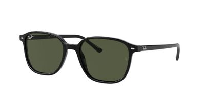 Ray-Ban Leonard RB2193 901/31 53