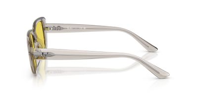 Imagen 2 del producto Ray-Ban RB4421D 681885 56