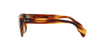 Ray-Ban RB0880S 954/51 52