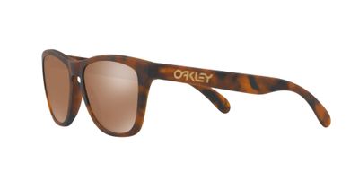 Imagen 2 del producto Oakley Frogskins