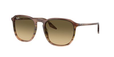 Ray-Ban RB2203 RB2203 13920A 55