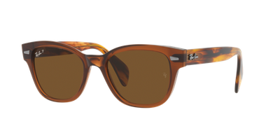 Ray-Ban RB0880S 664057 52