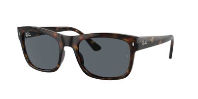 Ray-Ban RB4428 RB4428 710/R5 56