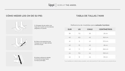 Zapato Hombre Puelo CS Low Grafito / Petroleo Lippi