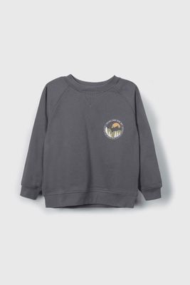 Polerón niño gris, estilo y comodidad para aventuras