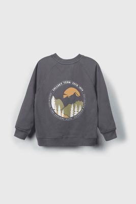 Imagen 2 del producto Polerón niño gris, estilo y comodidad para aventuras