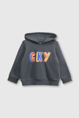 Imagen 1 del producto Polerón Gris de Niño