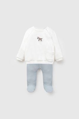 Imagen 1 del producto Clemente Celeste Bebé niño 7364 Colloky