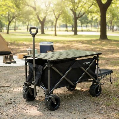 Imagen 2 del producto Carro de Arrastre 3 en 1 Outdoor Negro